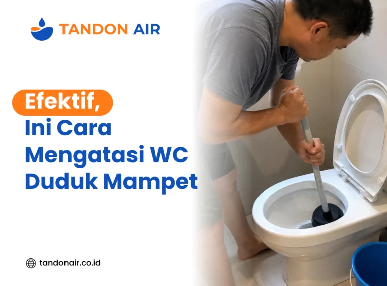 Efektif, Ini Cara Mengatasi WC Duduk Mampet