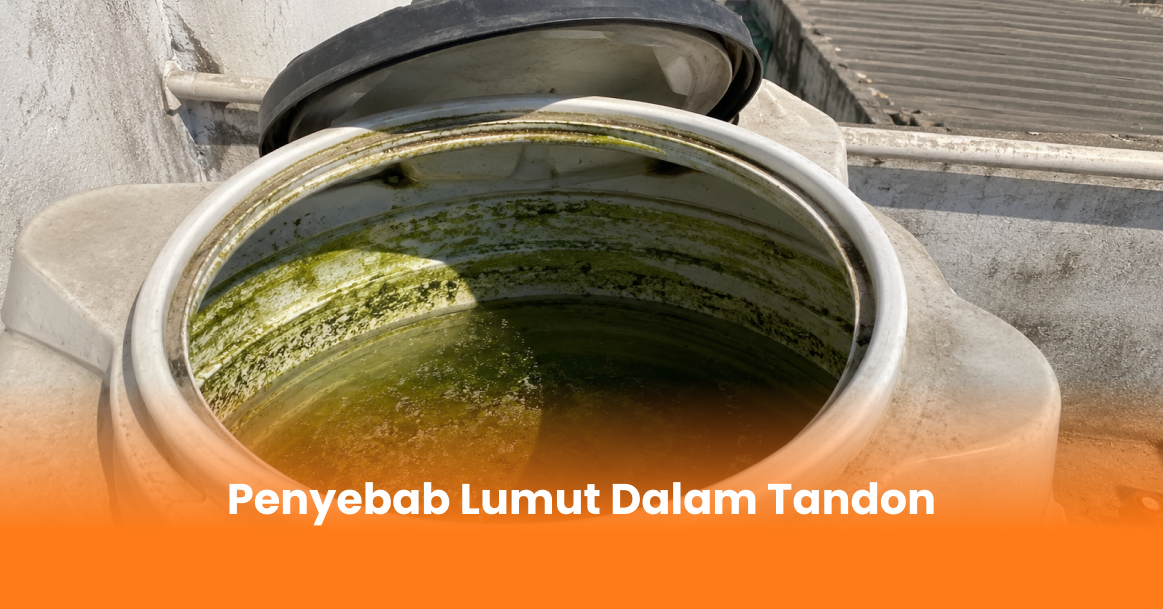 Penyebab Lumut Dalam Tandon