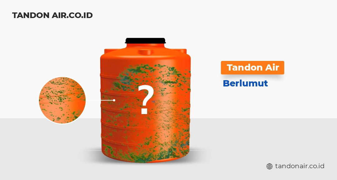 Dampak Buruk Lumut Pada Tandon Air (2)