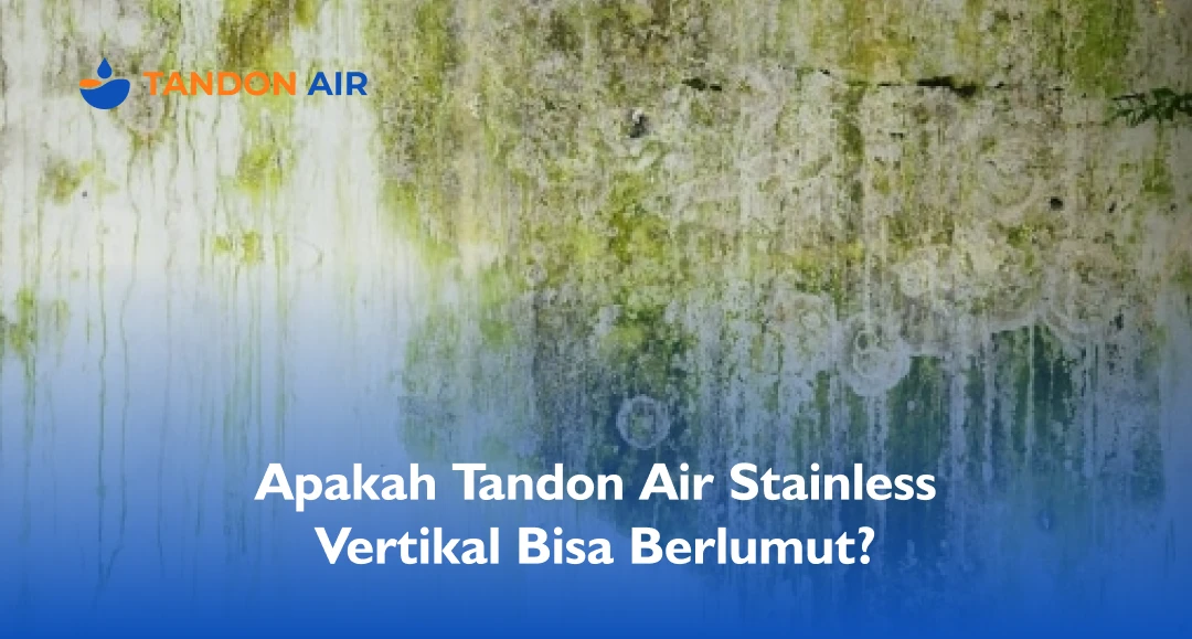 Apakah Tandon Air Stainless Vertikal Bisa Berlumut?