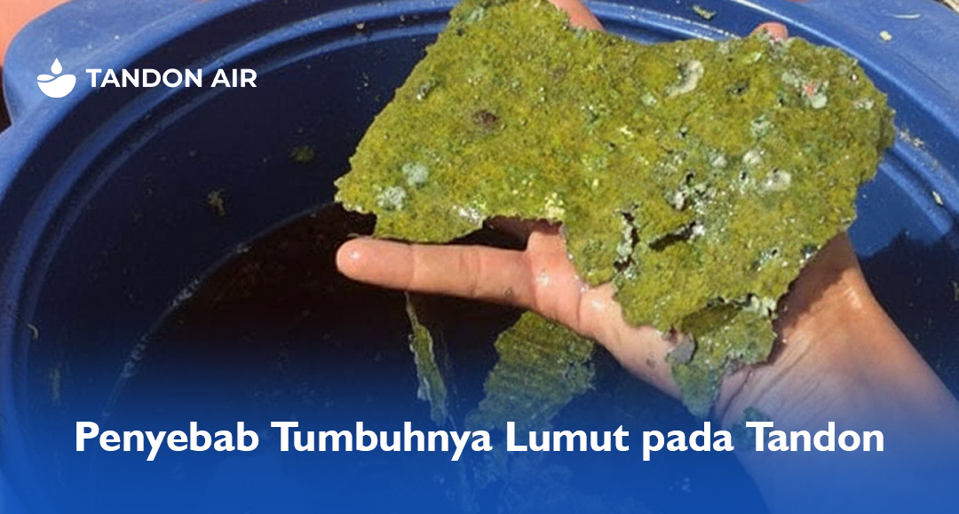 Penyebab Tumbuhnya Lumut pada Tandon