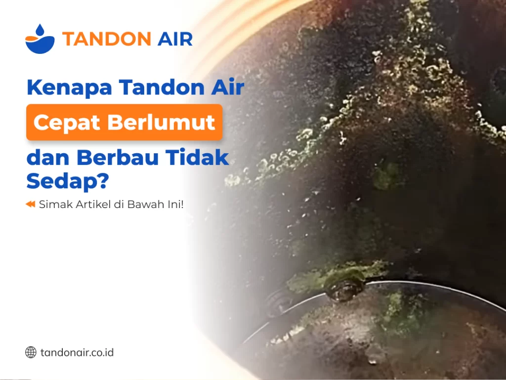 Kenapa Tandon Air Cepat Berlumut dan Berbau Tidak Sedap
