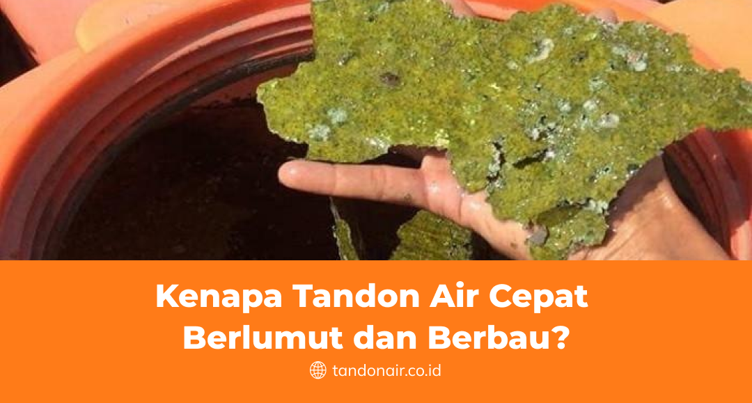 Kenapa Tandon Air Cepat Berlumut dan Berbau
