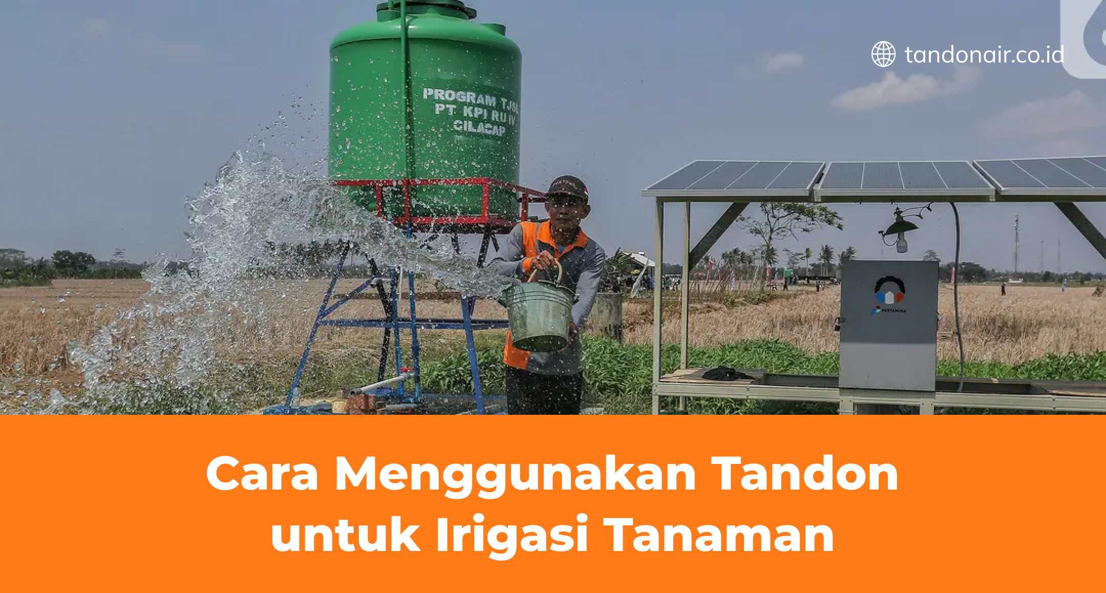 Cara Menggunakan Tandon untuk Irigasi Tanaman