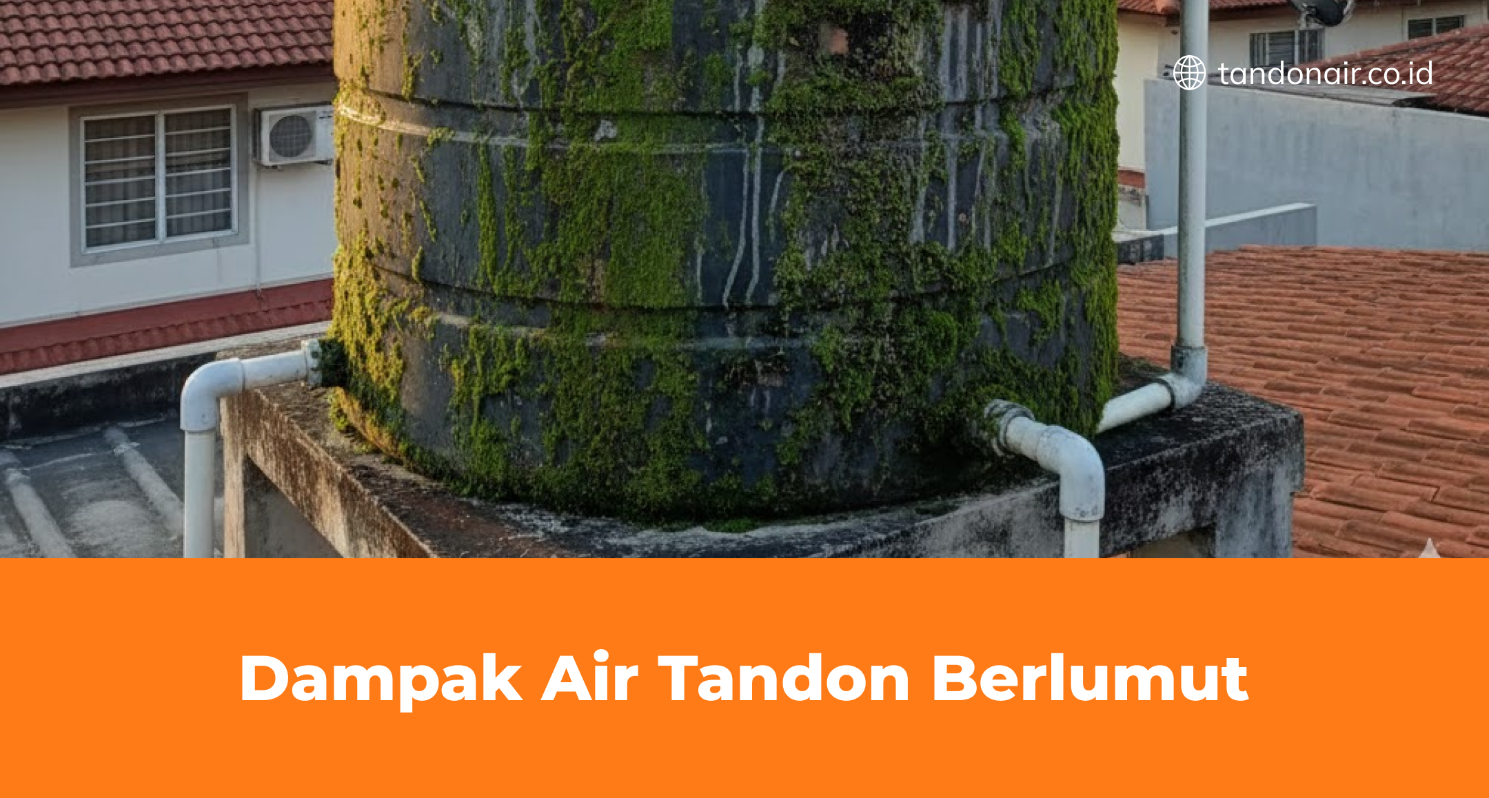 Dampak Air Tandon Berlumut