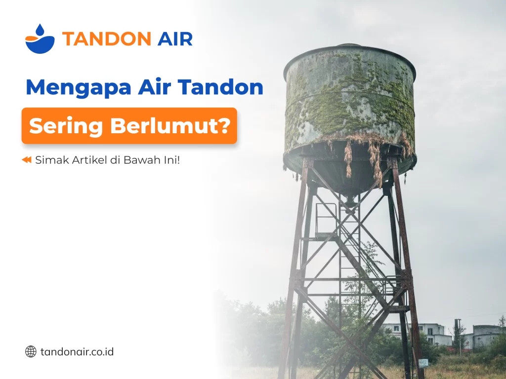 Mengapa Air Tandon Sering Berlumut