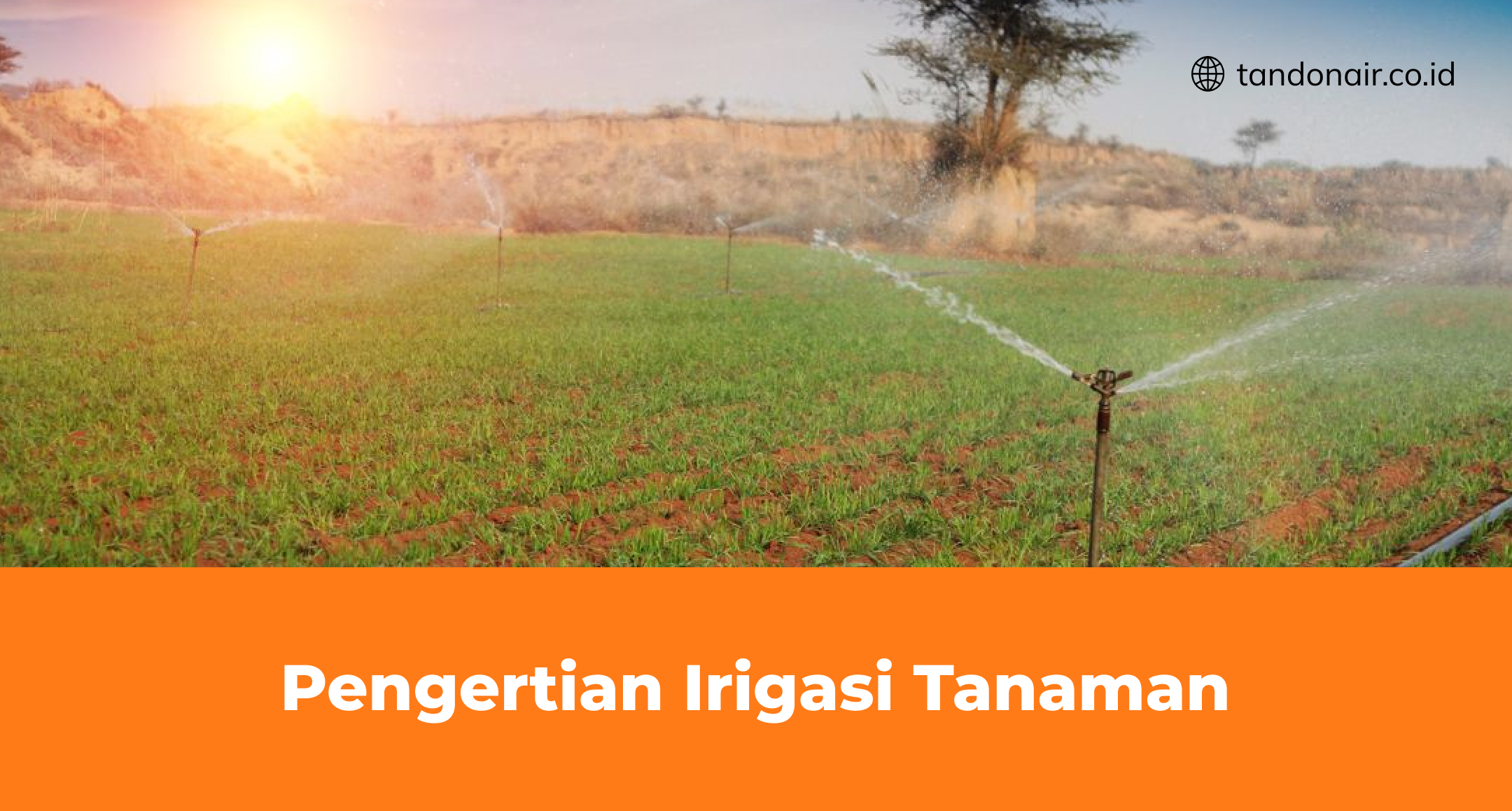 Pengertian Irigasi Tanaman