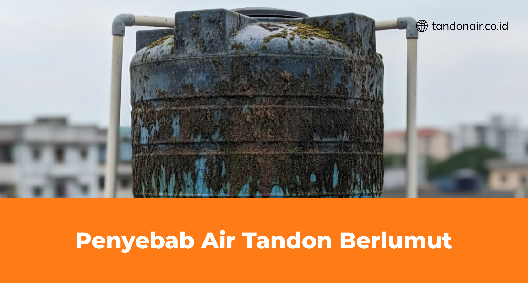 Penyebab Air Tandon Berlumut