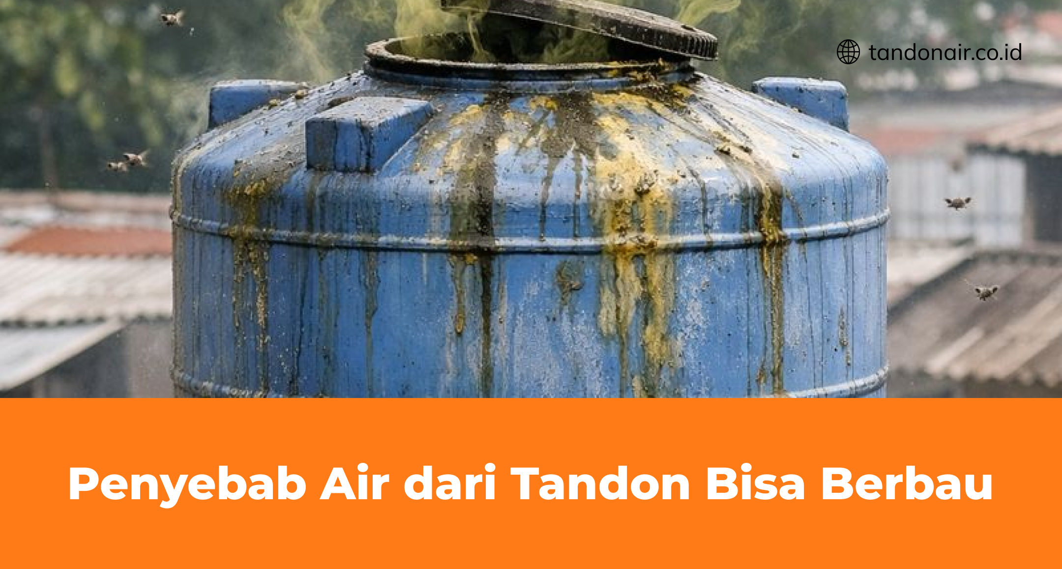 Penyebab Air dari Tandon Bisa Berbau