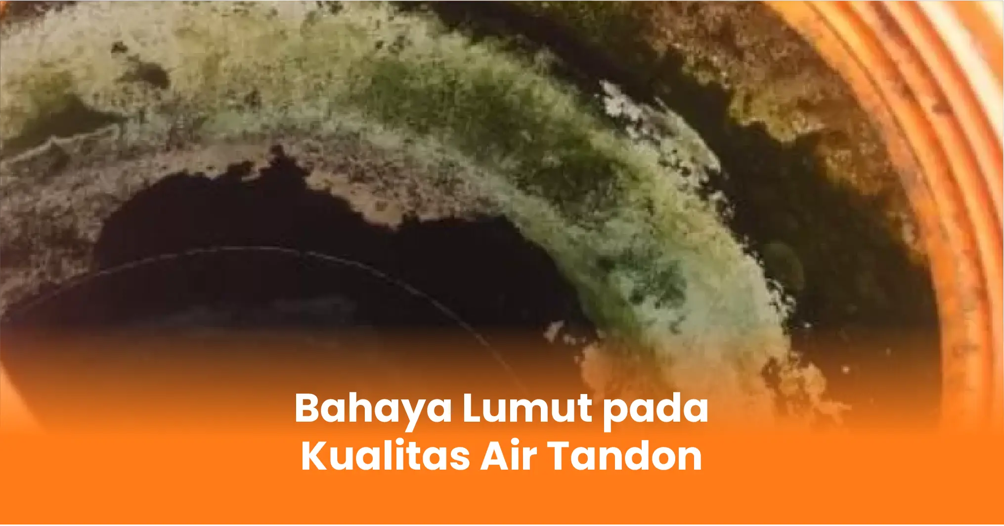 Bahaya Lumut pada Kualitas Air Tandon