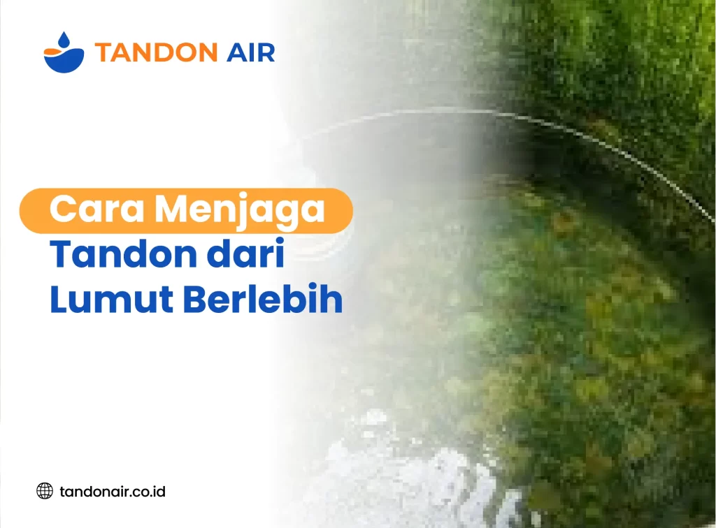 Cara Menjaga Tandon dari Lumut Berlebih