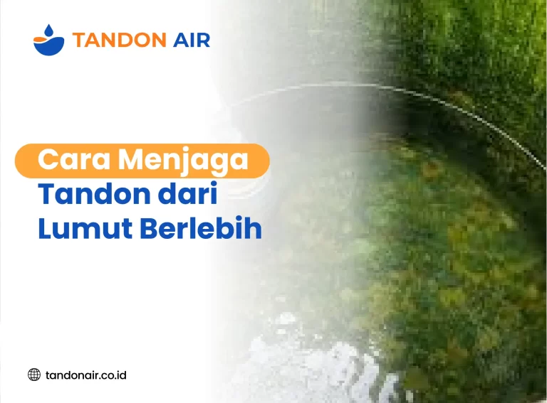 Cara Menjaga Tandon dari Lumut Berlebih