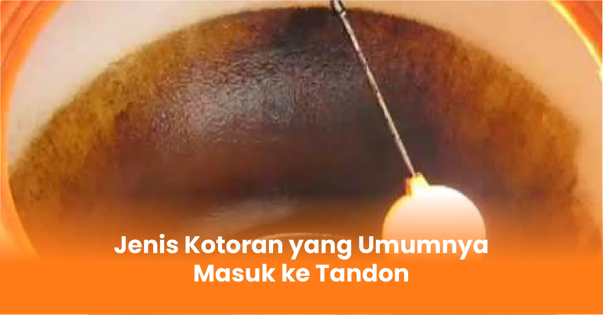 Jenis Kotoran yang Umumnya Masuk ke Tandon
