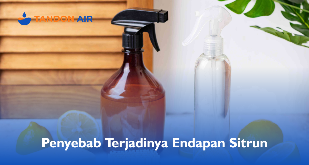 Penyebab Terjadinya Endapan Sitrun