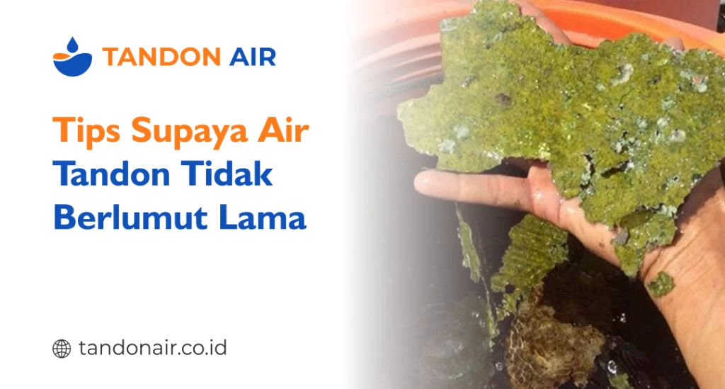 Tips Supaya Air Tandon Tidak Berlumut Lama