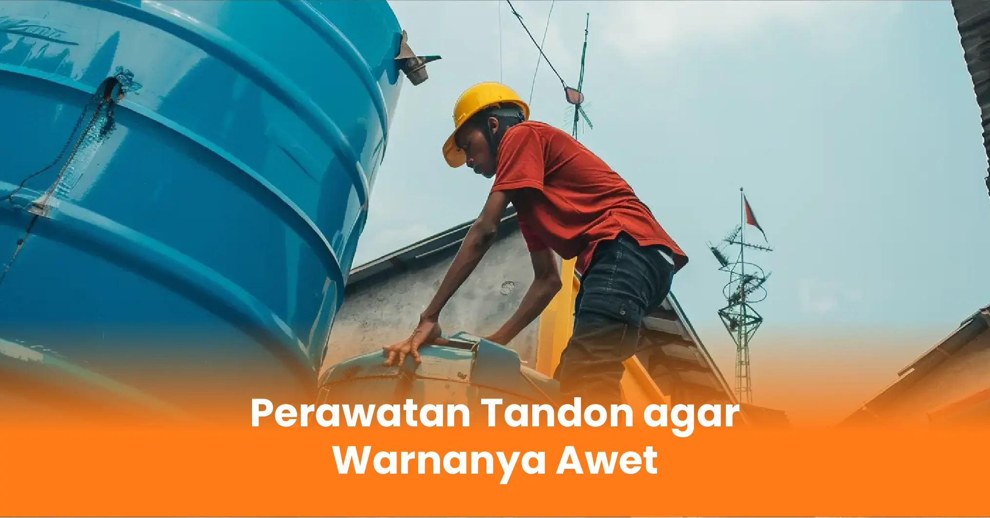 Perawatan Tandon agar Warnanya Awet