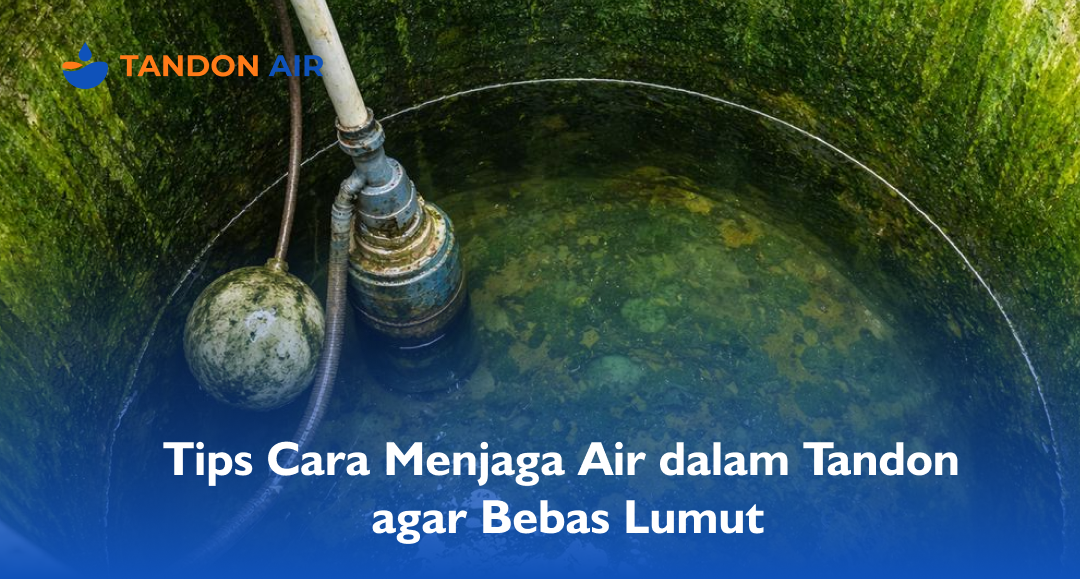 Tips Cara Menjaga Air dalam Tandon agar Bebas Lumut