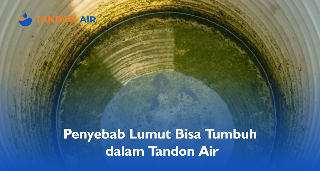 Penyebab Lumut Bisa Tumbuh dalam Tandon Air