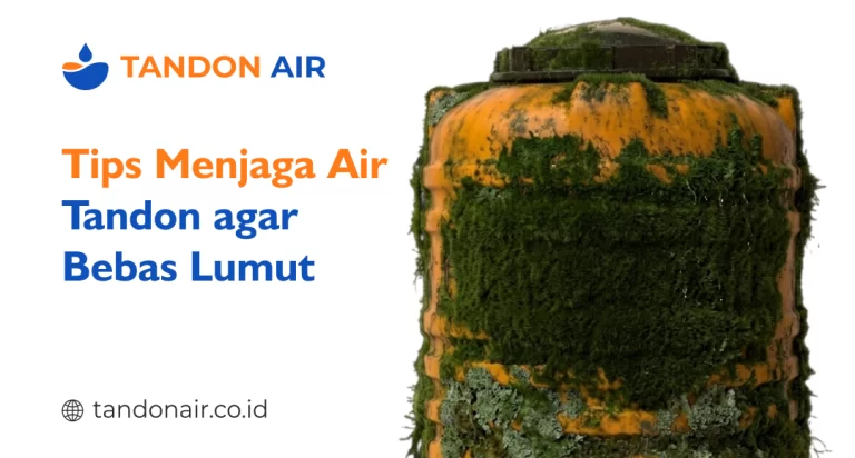 Tips menjaga air tandon agar bebas lumut