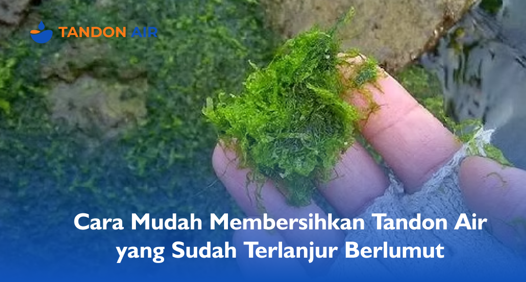 Cara Mudah Membersihkan Tandon Air yang Sudah Terlanjur Berlumut