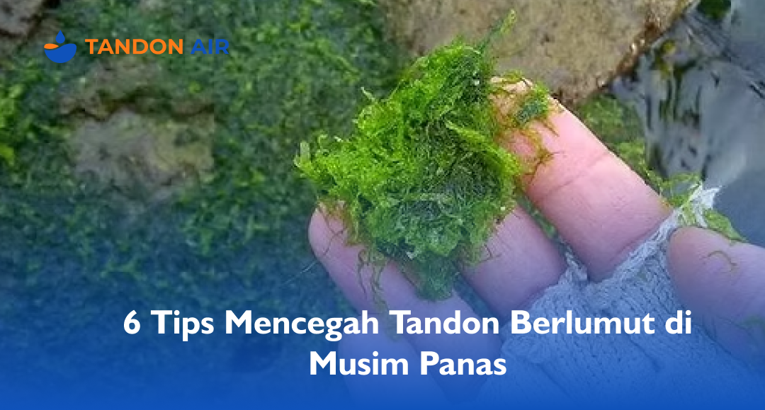 6 Tips Mencegah Tandon Berlumut di Musim Panas
