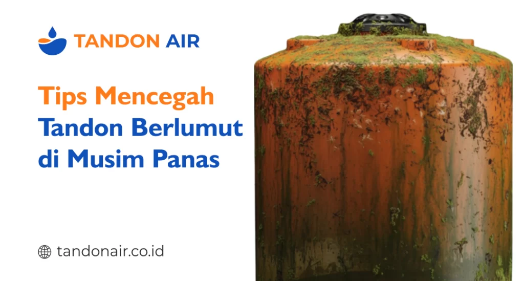 Tips Mencegah Tandon Berlumut di Musim Panas