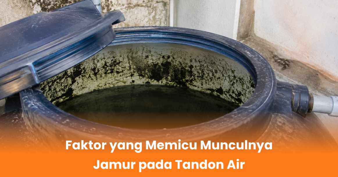 Faktor yang Memicu Munculnya Jamur pada Tandon Air