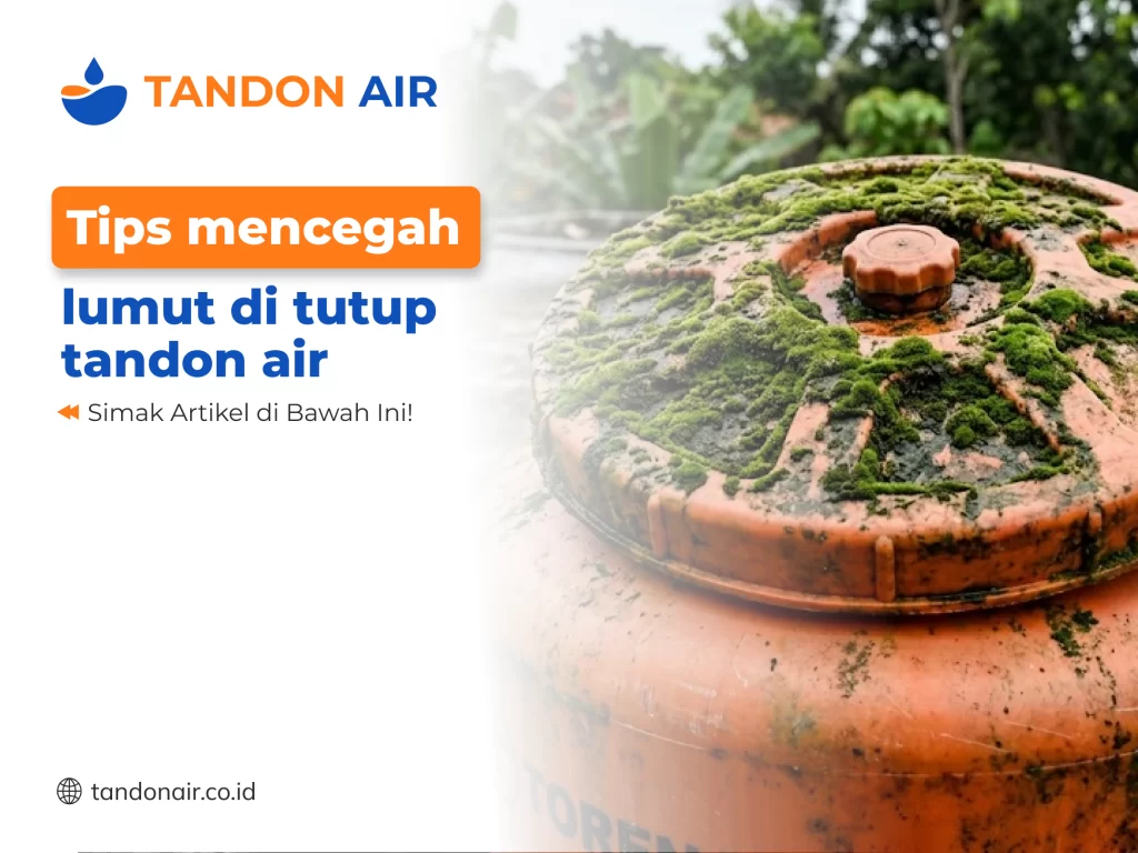 Tips mencegah lumut di tutup tandon air