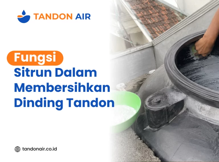 Fungsi Sitrun Dalam Membersihkan Dinding Tandon